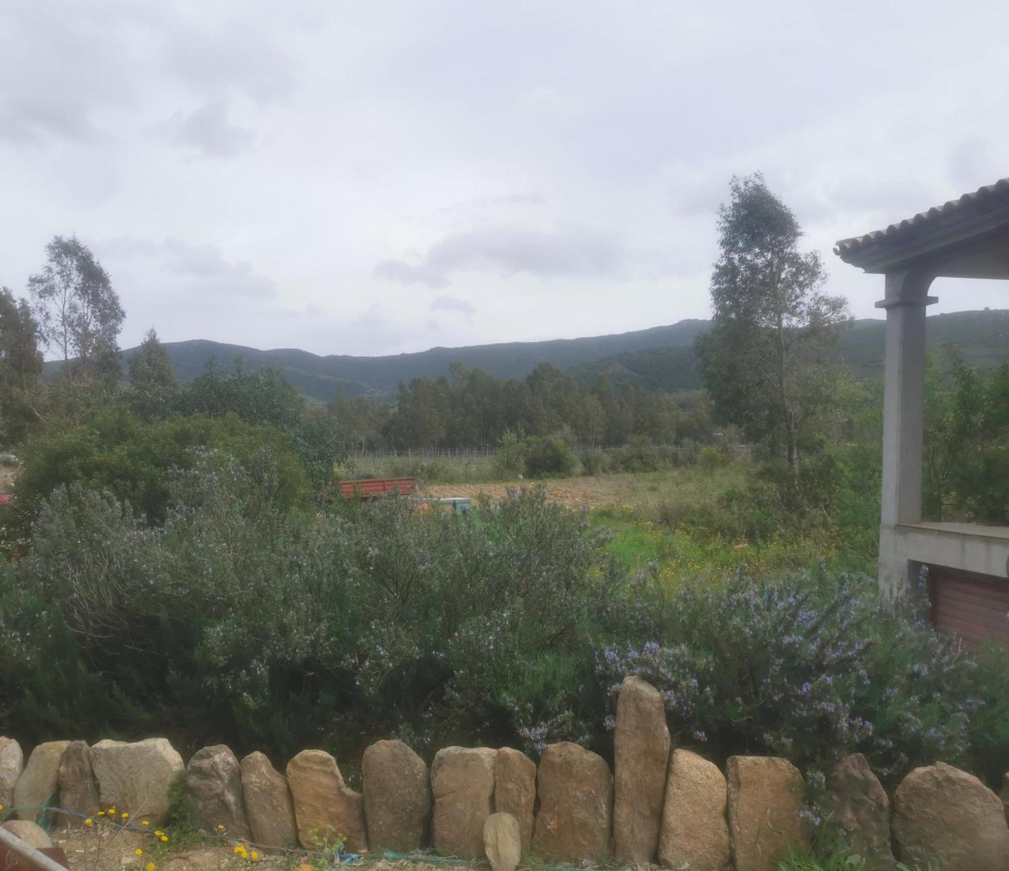 Localita Zarvenu Villa Siniscola Bagian luar foto