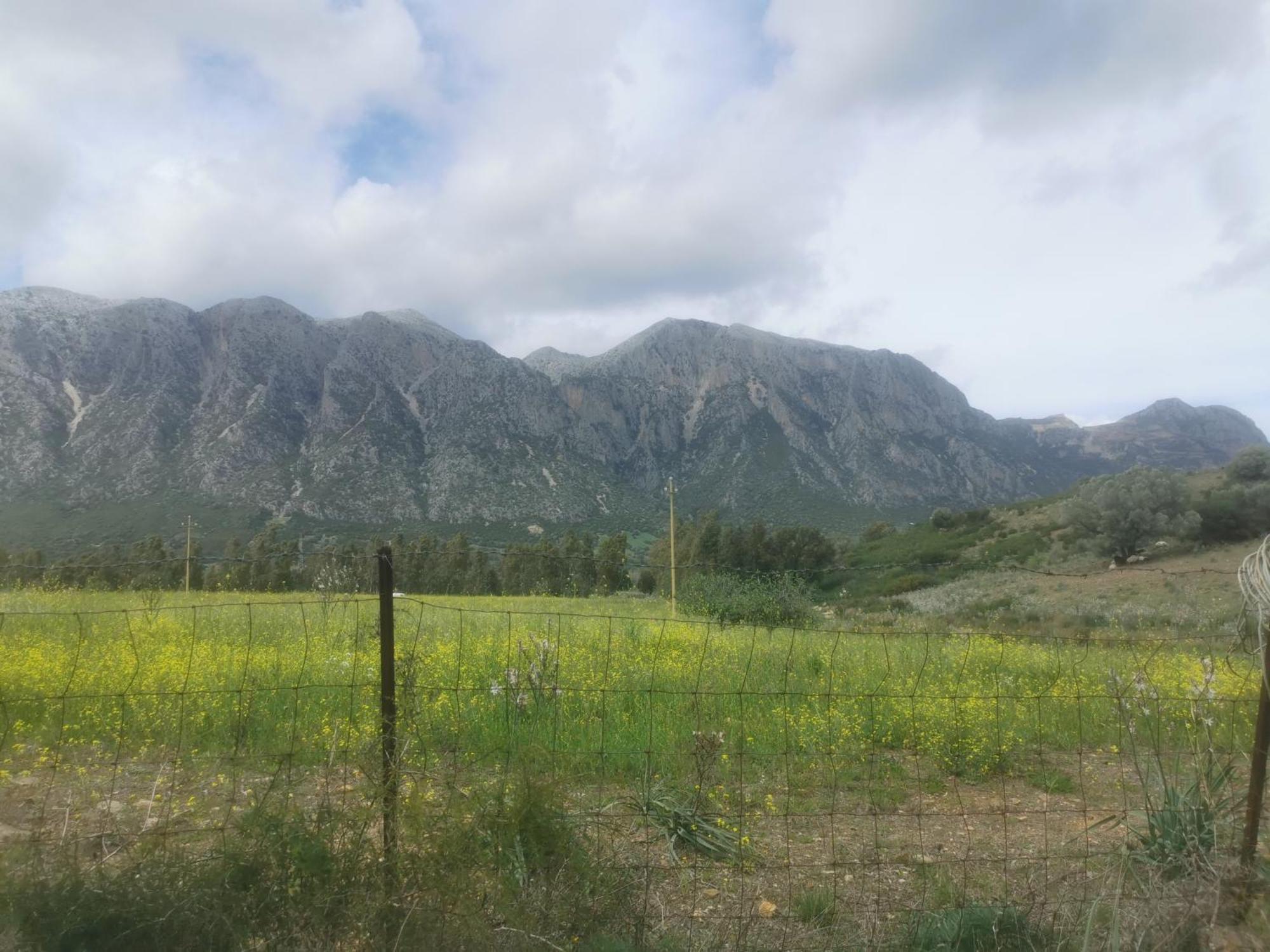 Localita Zarvenu Villa Siniscola Bagian luar foto
